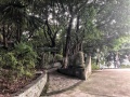 青风酒店式养老护养中心