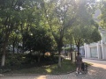 上海市浦东新区高行镇万安养老院
