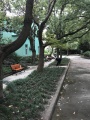 上海闵行区爱德养老院