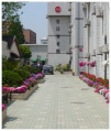 上海杨浦区红日养老院