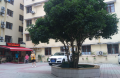 上海虹口区吉阳红敬老院