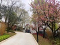 阿默记忆关爱之家疗养院