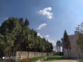 恩泽椿亭驿颐养公寓