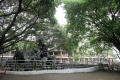 广东省佛山市禅城区幸福颐养院