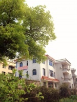 浙江省台州市天台县福溪街道大路曹康乐托老院
