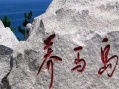 烟台市老朋友快乐养老服务有限公司