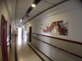 上海市杨浦区中原敬老院