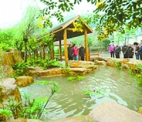 重庆市大渡口区跳蹬镇敬老院