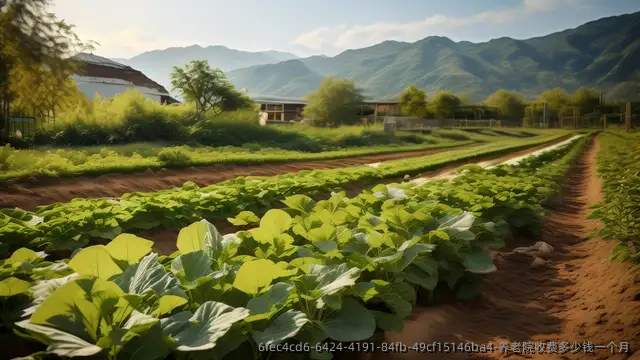 养老院收费多少钱一个月