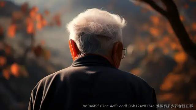 淮滨有多少养老院在哪