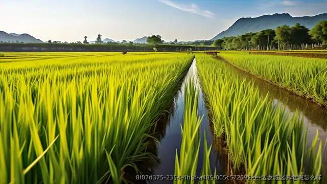 达坂城区养老院怎么样
