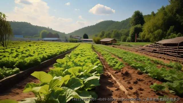 上海异地养老院价格多少
